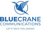 Blue Crane